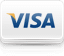 Visa Card